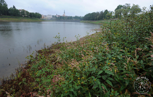 Водохранилище Иордан